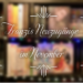 Franzis Neuzugänge im November 2021 10 11 Neuzugaenge November Header
