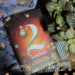 Es fing so harmlos an... ("2 Seelen. Das erste Buch der Unsterblichkeit" von Rose Snow) #Kurzrezi 4 Design ohne Titel 2