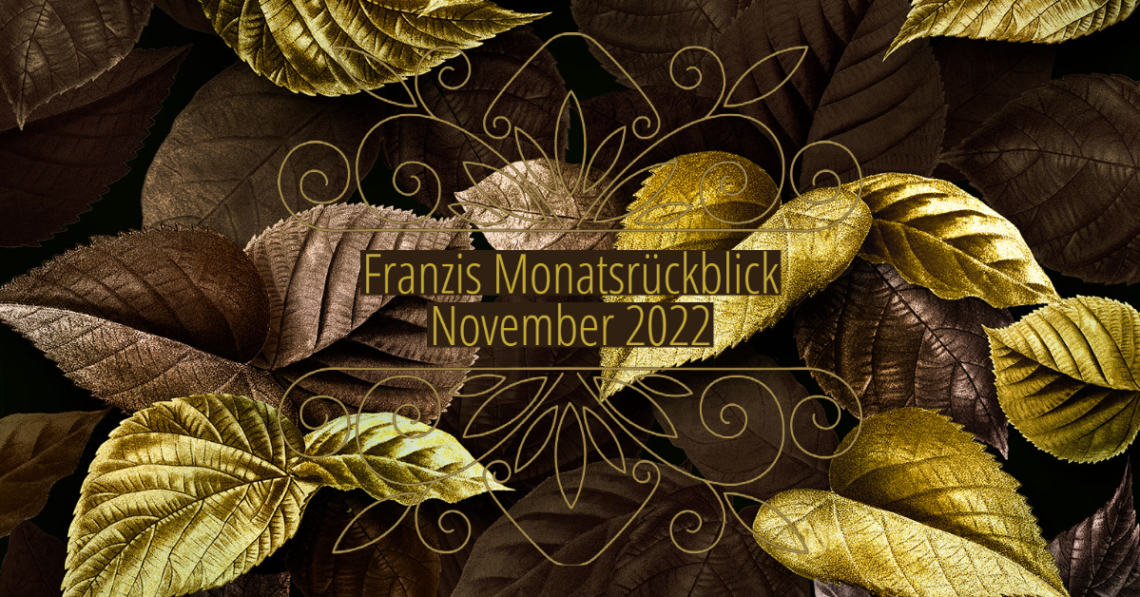 Franzis Monatsrückblick - November 2022 1 Monatsrueckblick November
