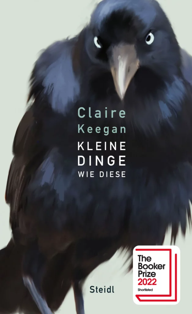 Leserückblick Januar 7 kleine dinge wie diese gebundene ausgabe claire keegan